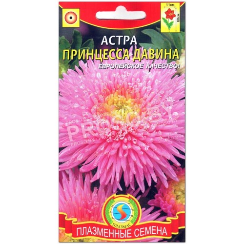 Астра Принцесса Давина