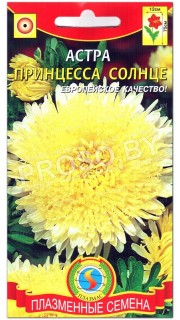 Астра Принцесса солнце