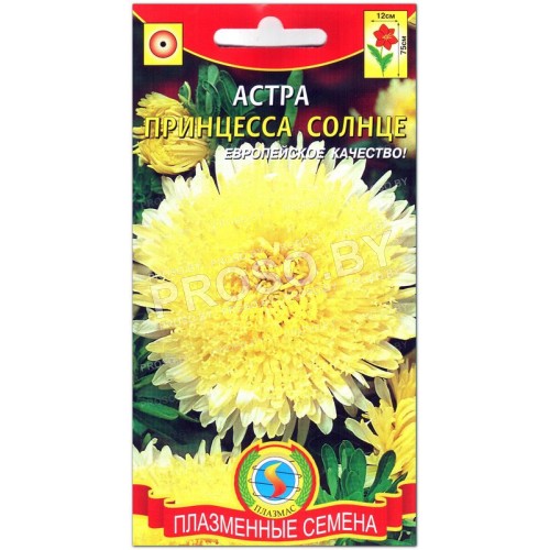 Астра Принцесса солнце
