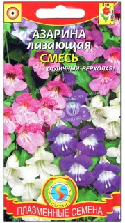 Азарина Лазающая, смесь
