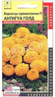 Бархатцы Антигуа голд F1