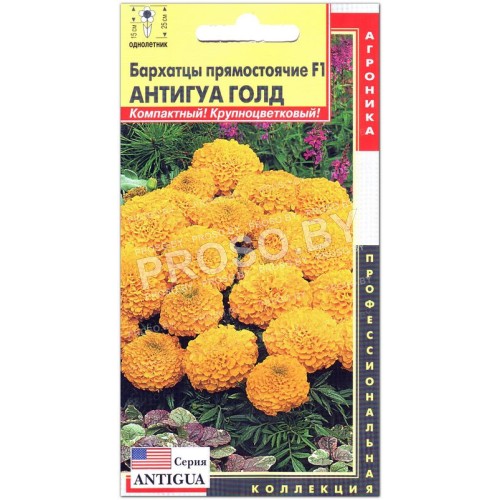 Бархатцы Антигуа голд F1
