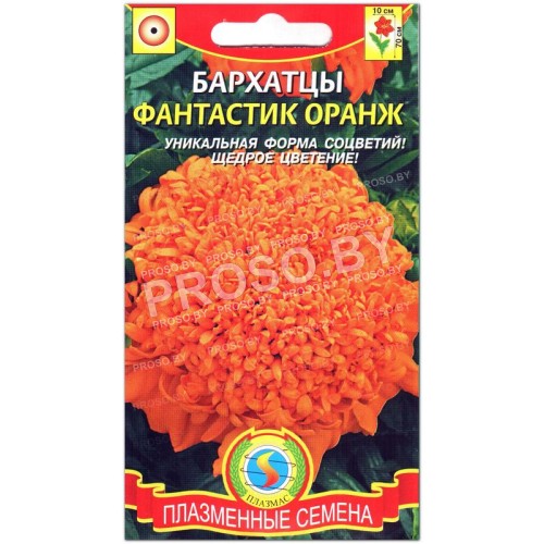 Бархатцы Фантастик оранж
