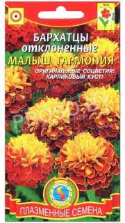Бархатцы отклоненные Малыш гармония