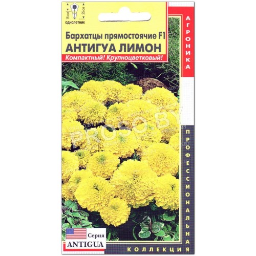Бархатцы прямостоячие Антигуа лимон (лимонный) F1-1