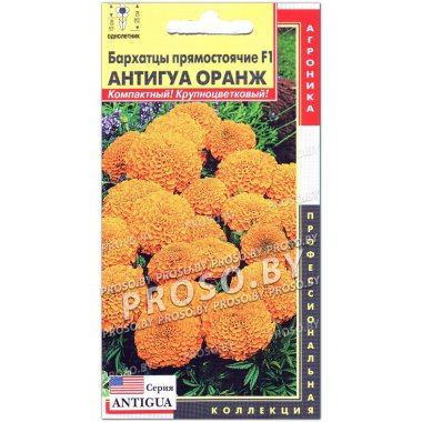 Бархатцы прямостоячие Антигуа оранж (оранжевый) F1