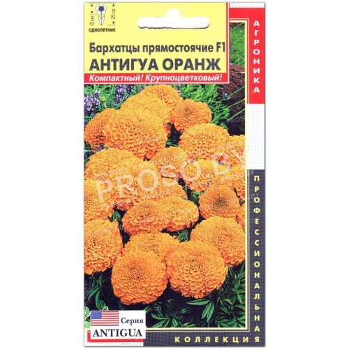 Бархатцы прямостоячие Антигуа оранж (оранжевый) F1