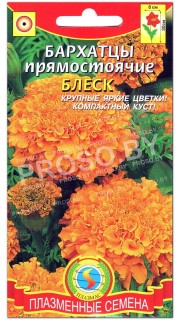 Бархатцы прямостоячие Блеск