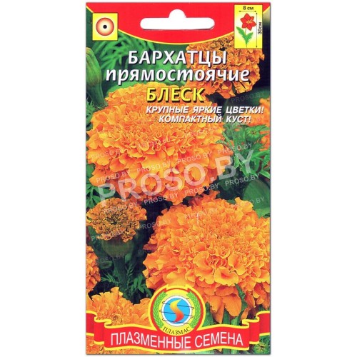 Бархатцы прямостоячие Блеск