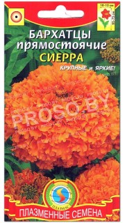 Бархатцы прямостоячие Сиерра