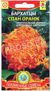 Бархатцы Спан оранж