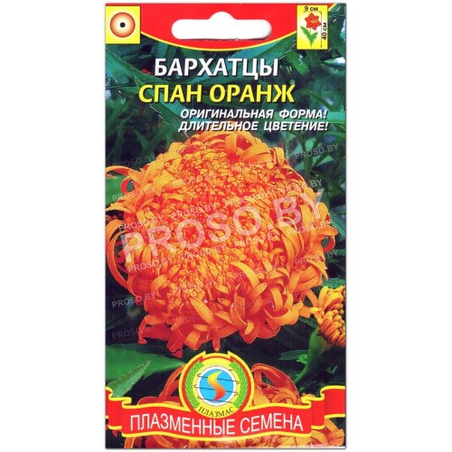 Бархатцы Спан оранж