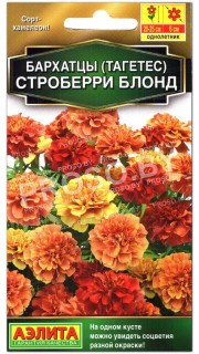 Бархатцы Строберри блонд
