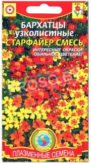 Бархатцы тонколистные (узколистные) Старфайр, смесь