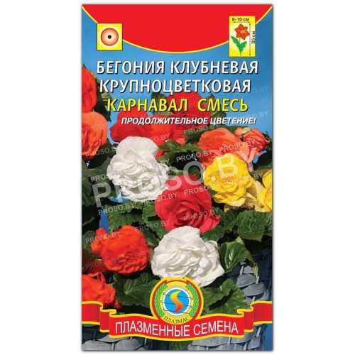 Бегония клубневая Карнавал, смесь