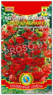 Бегония Шансон ярко-красная F1