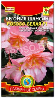 Бегония Шансон розово-белая F1