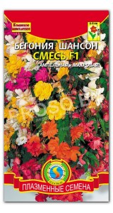 Бегония Шансон смесь F1