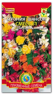 Бегония Шансон смесь F1