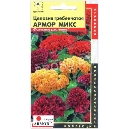 Целозия гребенчатая Армор микс