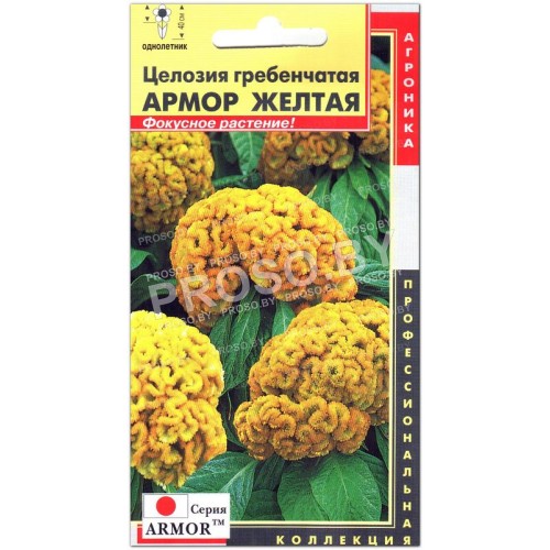 Целозия гребенчатая Армор желтая