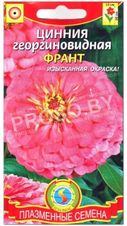 Цинния георгиновидная Франт