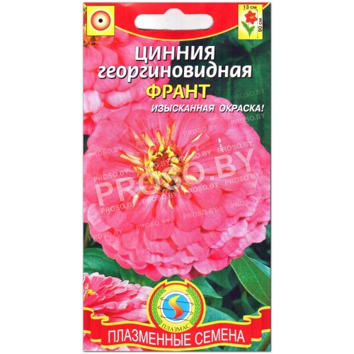 Цинния георгиновидная Франт