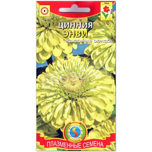 Цинния Энви