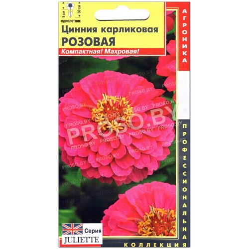 Цинния карликовая Розовая