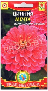 Цинния Мечта