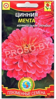 Цинния Мечта