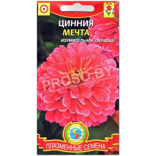 Цинния Мечта