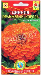 Цинния Оранжевый король