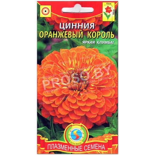 Цинния Оранжевый король