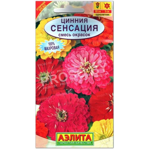 Цинния Сенсация, смесь-1
