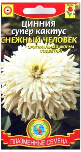 Цинния Снежный человек