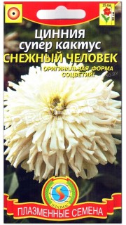 Цинния Снежный человек