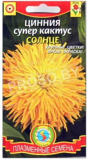 Цинния супер кактус Солнце