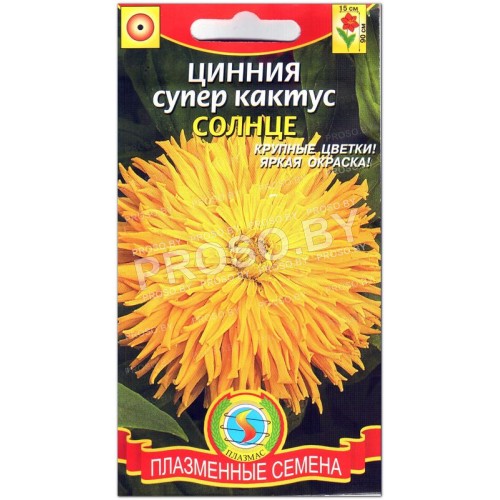 Цинния супер кактус Солнце