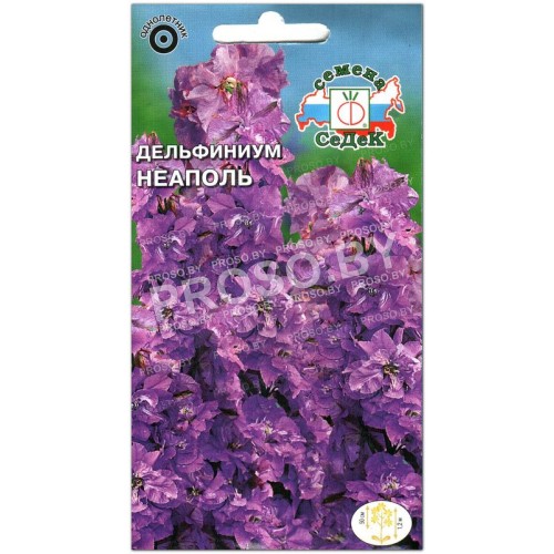 Дельфиниум Неаполь