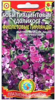 Долихос Фиолетовые гирлянды