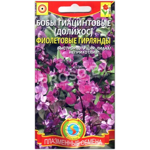 Долихос Фиолетовые гирлянды