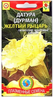Дурман Желтый рыцарь