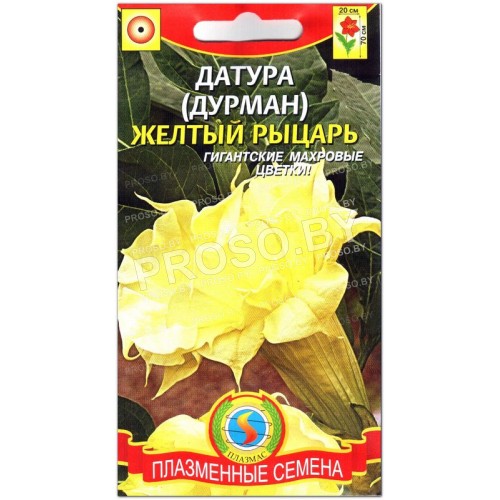 Дурман Желтый рыцарь