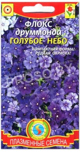 Флокс друммонда Голубое небо