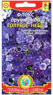 Флокс друммонда Голубое небо
