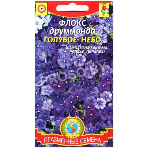 Флокс друммонда Голубое небо