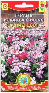 Герань плющелистная Каскад цвета