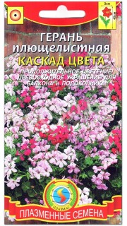 Герань плющелистная Каскад цвета