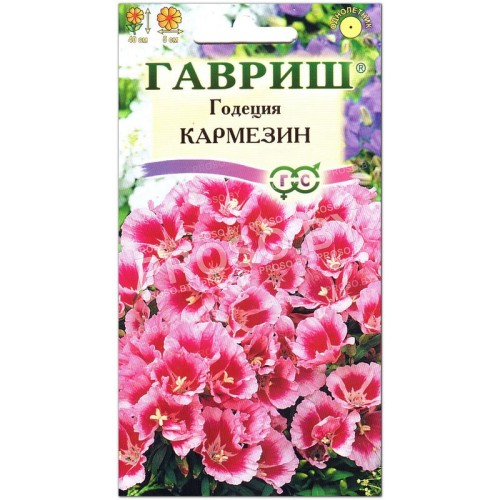 Годеция Кармезин